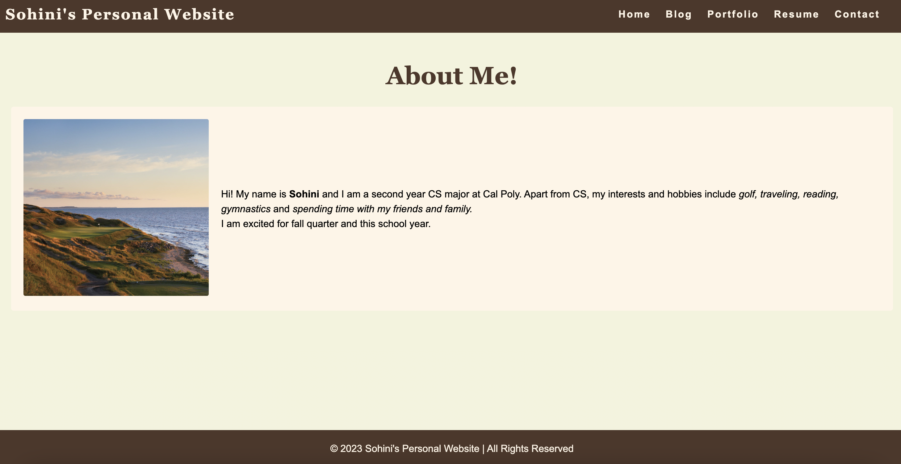 A picture of my personal website